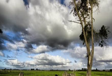 亿万28-关于荷甲赛程吃紧,那不勒斯清晨刷新队史纪录,压力陡增,团队化学反应显著的信息